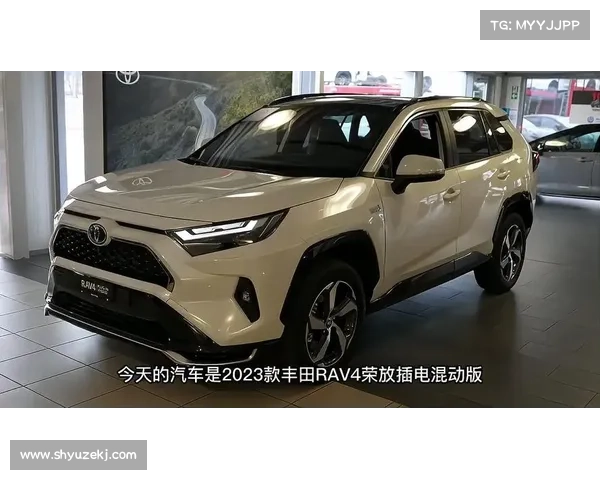 丰田RAV4三款新外观亮相!插混续航100公里,真能打吗? 丰田RAV4三款新外观亮相!插混续航100公里,真能打吗?