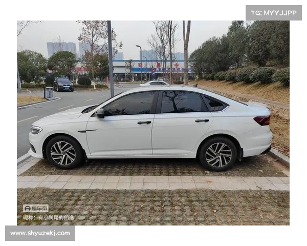 全新大众朗逸车主中肯提车作业，看看朗逸真实情况到底如何？