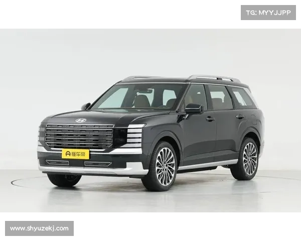 全新现代帕里斯帝将于 8 月 4 日亮相国内！外观内饰升级